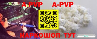 крисы Гагарин