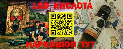 крисы Гагарин