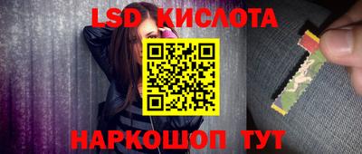 прущие грибы Гусиноозёрск
