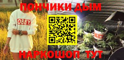прущие грибы Гусиноозёрск