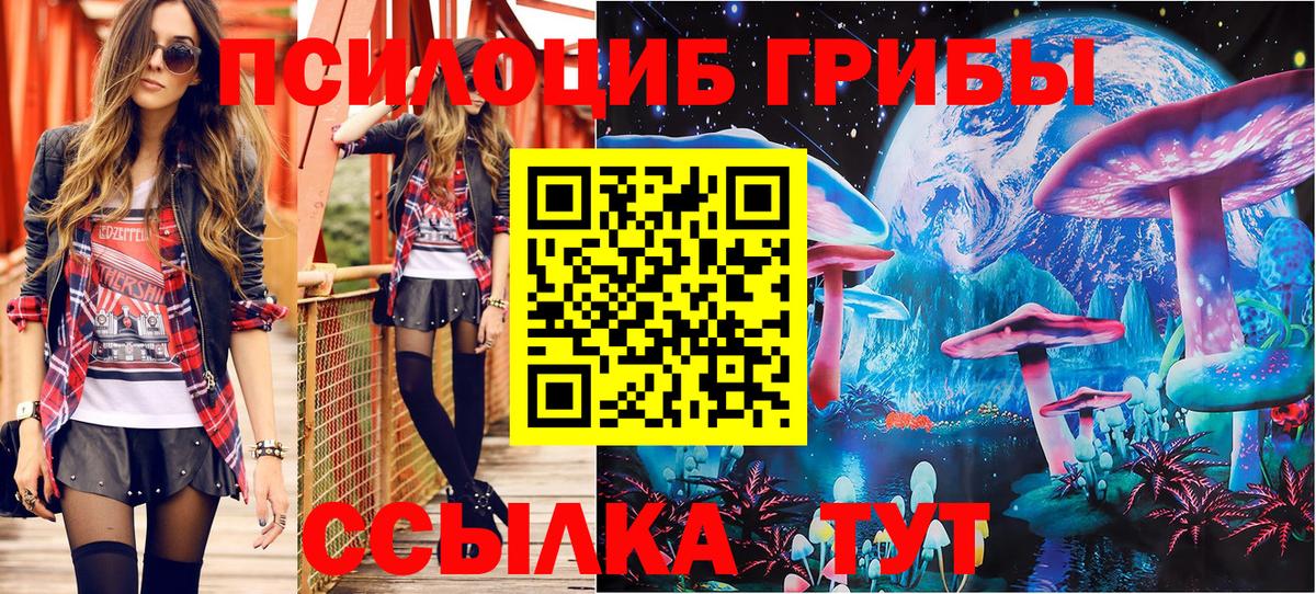 Псилоцибиновые грибы мицелий  Галлюциногенные грибы мицелий  Вход с VPN  Дмитров 