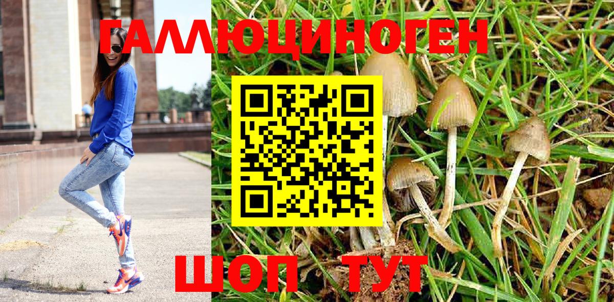 НБОМе Дмитров