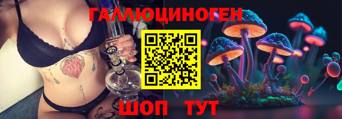 Псилоцибиновые грибы мицелий Дмитров
